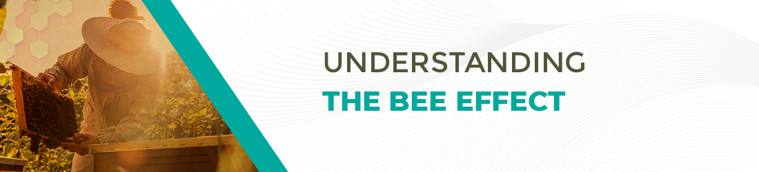 The Bee Effect: Keeping the World Abuzz