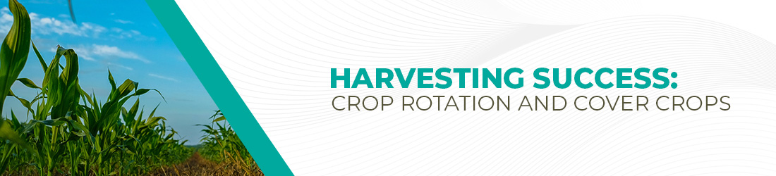 Crop Rotation and Cover Crops